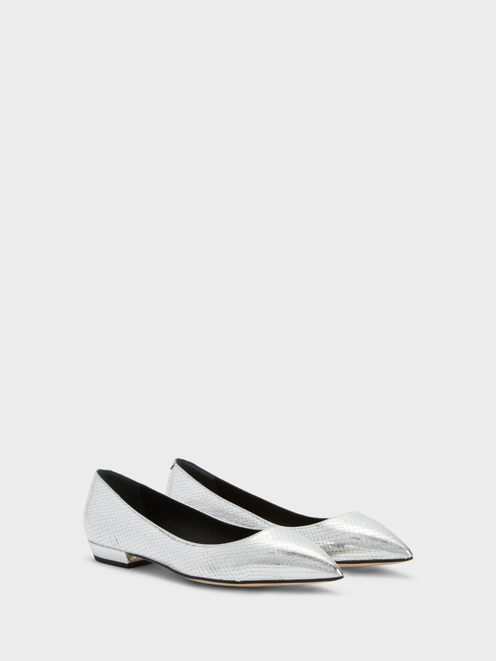 DHALIA BALLERINA