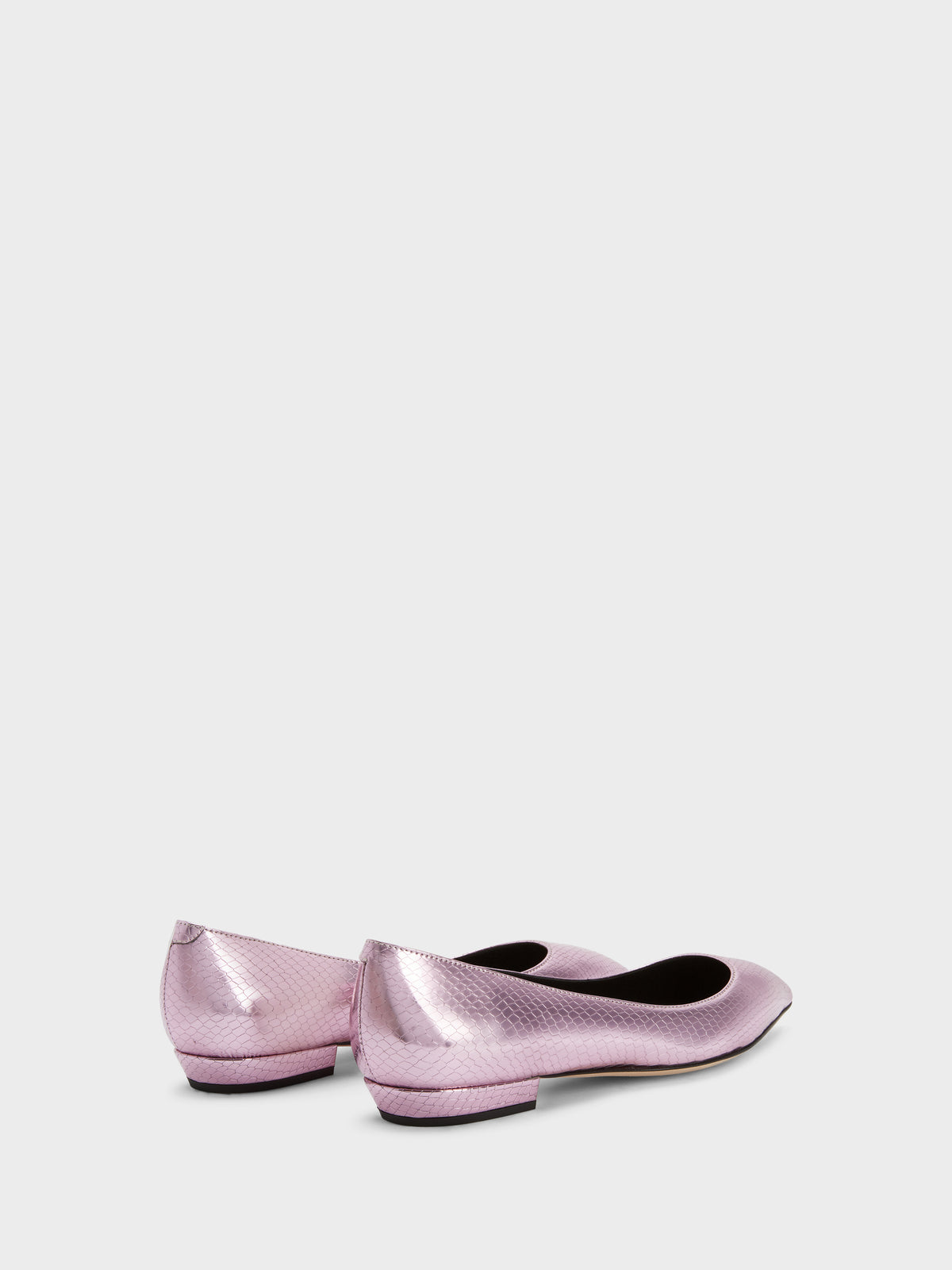 DHALIA BALLERINA