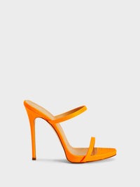 DARSEY MULE