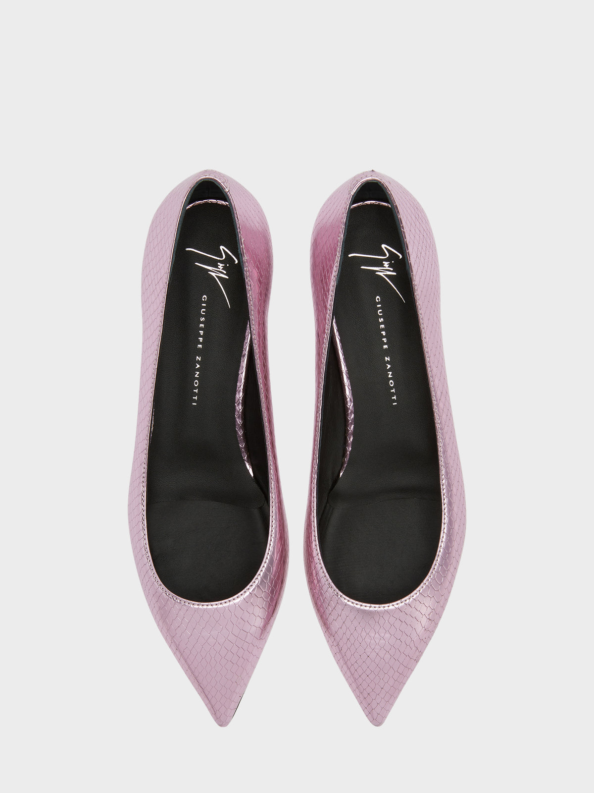DHALIA BALLERINA