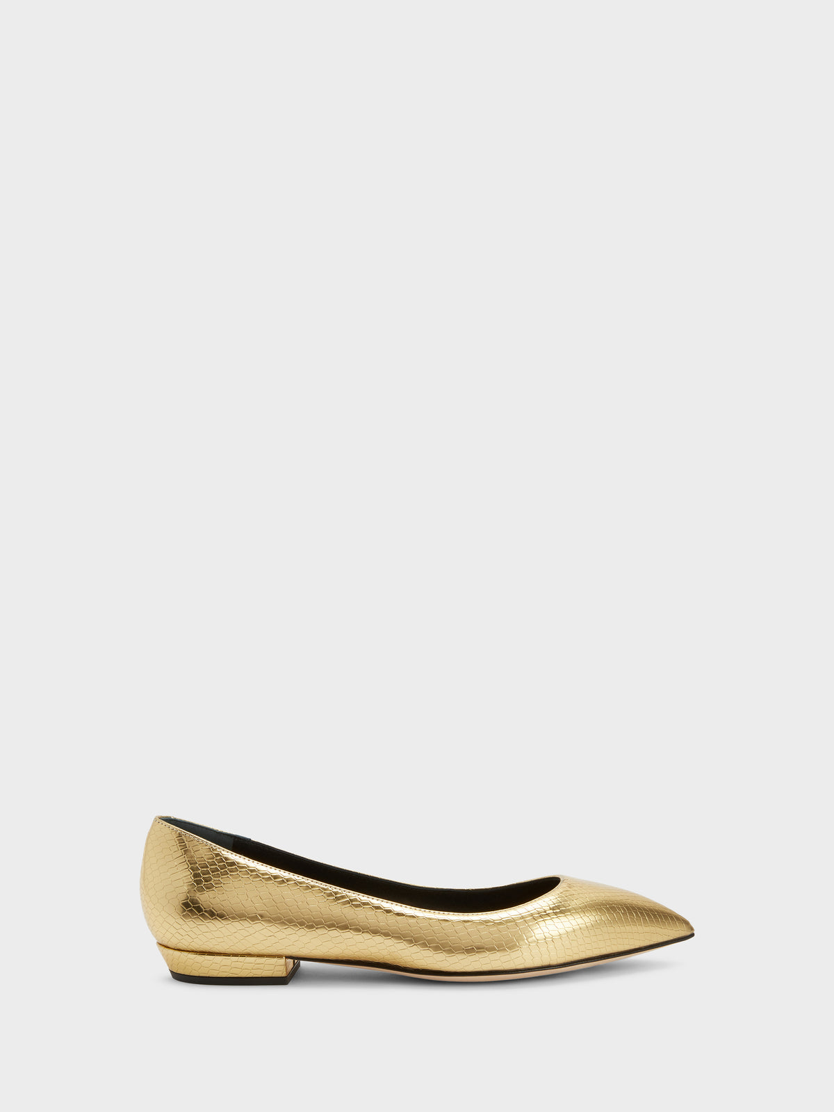 DHALIA BALLERINA
