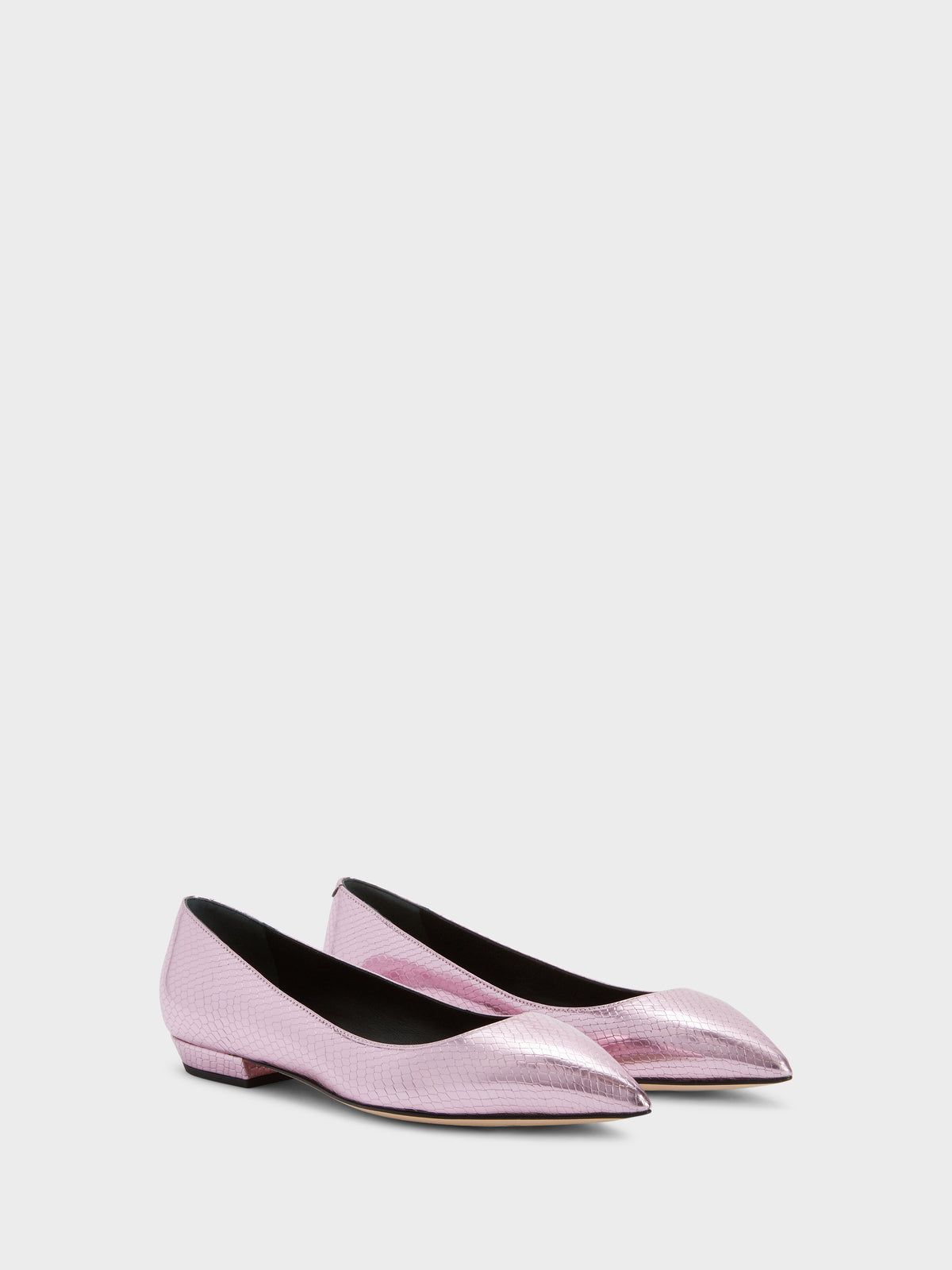 DHALIA BALLERINA