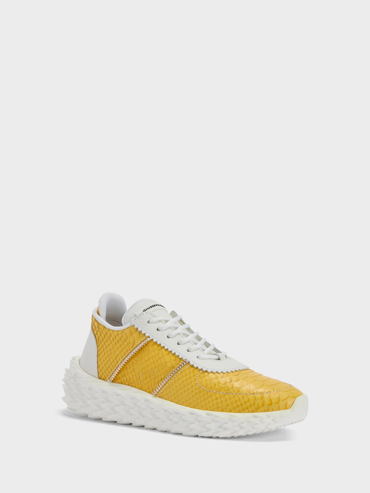 URCHIN LOW TOP