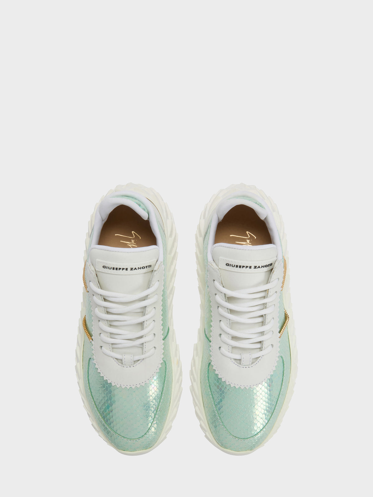 URCHIN LOW TOP