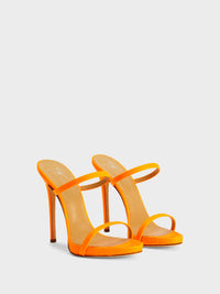 DARSEY MULE