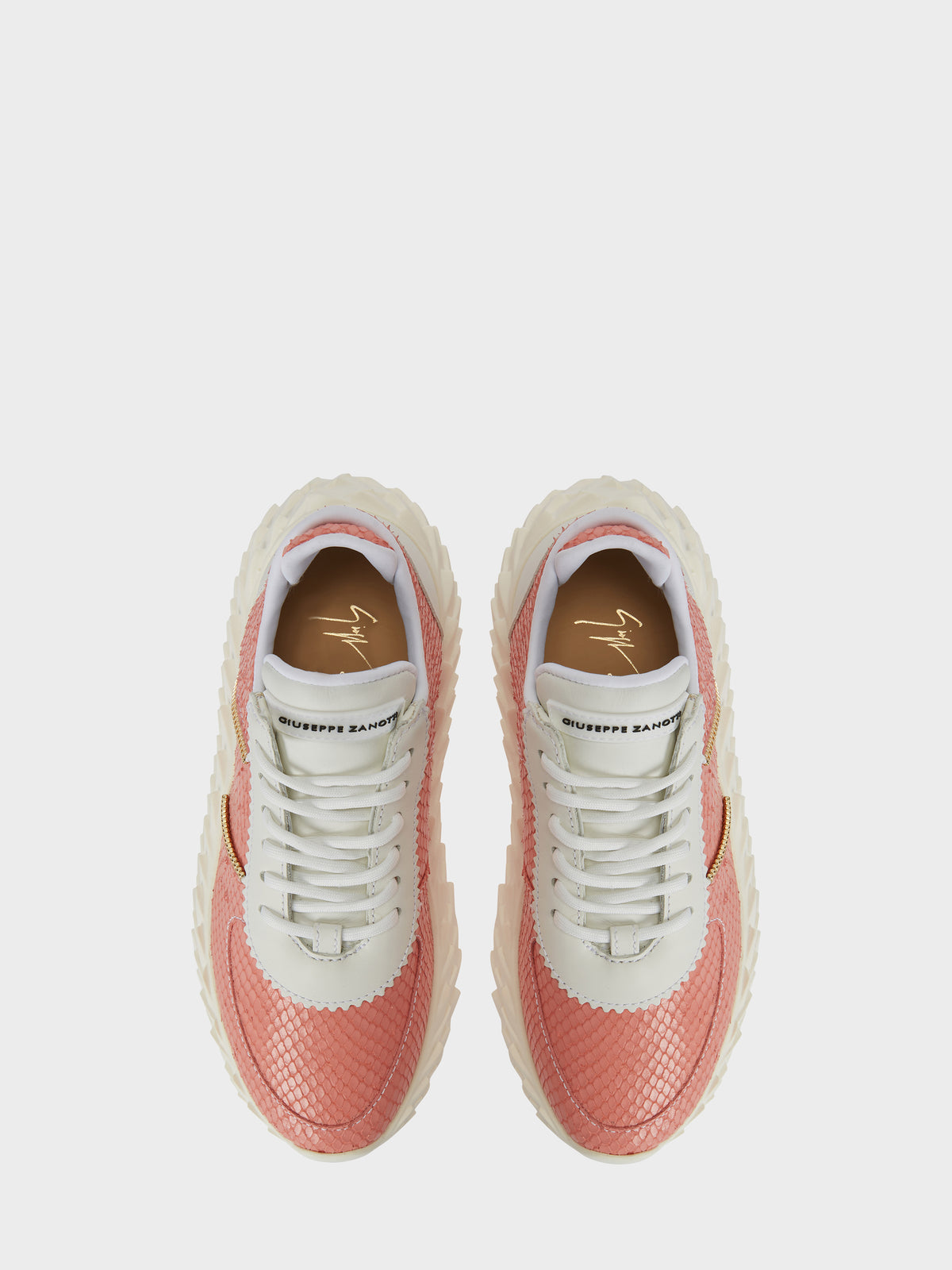 URCHIN LOW TOP